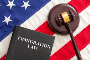 Immigration-law-book